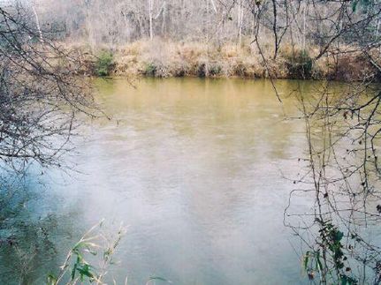 Timberland Property in Elbert County, Georgia