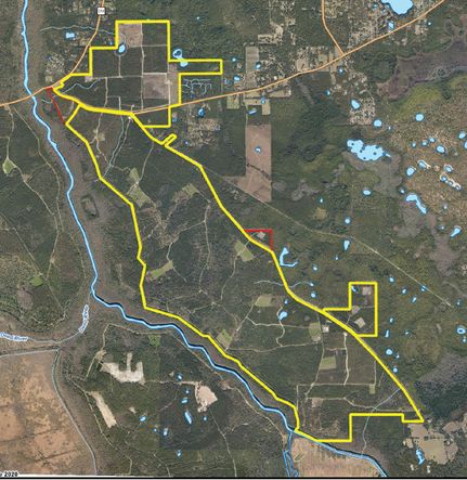 Hunting Property in Marion County, Florida