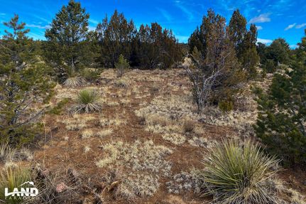 Recreational Property in Bernalillo County, New Mexico