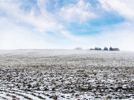 Land in Humboldt County, Iowa