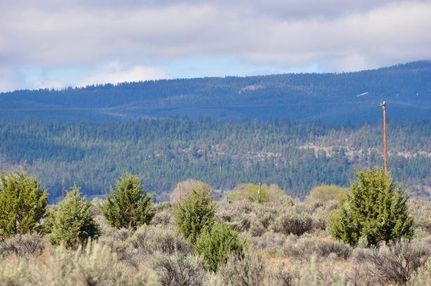 Undeveloped Land in Modoc County, California