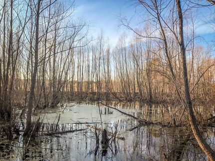 Recreational Property in Pulaski County, Arkansas