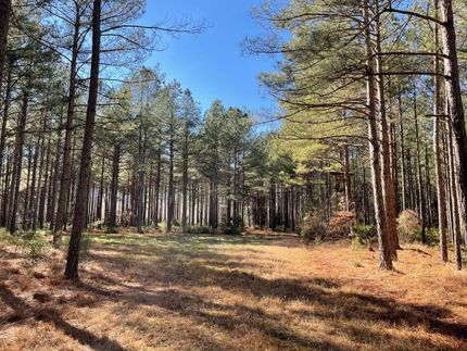 Commercial Property in Greensville County, Virginia