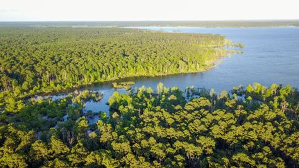 Lakefront Property in San Augustine County, Texas