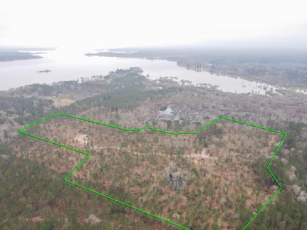 Undeveloped Land in San Augustine County, Texas