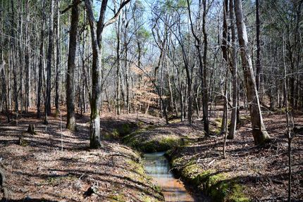 Land in Union County, South Carolina