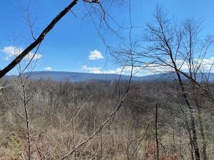 Timberland Property in Marion County, Tennessee