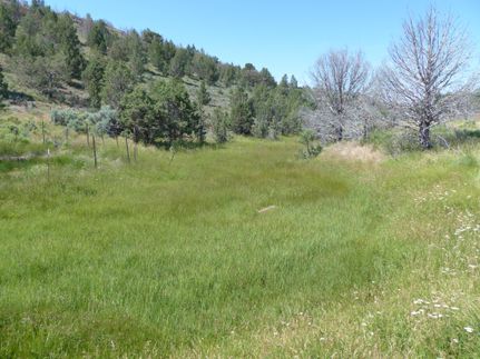 Hunting Property in Harney County, Oregon
