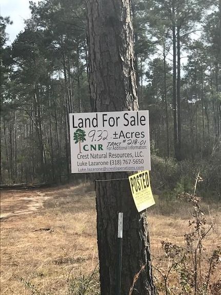 Commercial Property in Sabine Parish, Louisiana