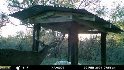 Farm and Ranch in Medina County, Texas
