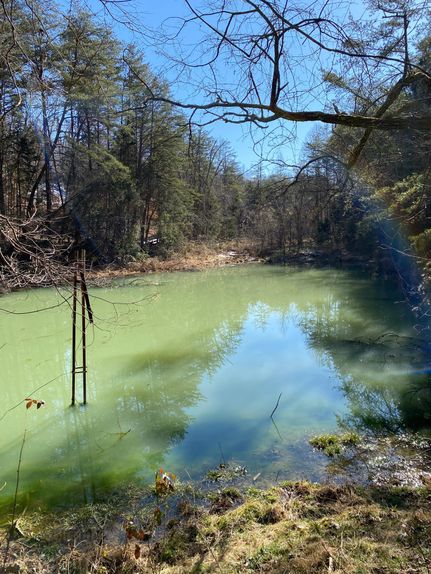 Land in Grainger County, Tennessee