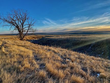 Farm and Ranch in Washington County, Colorado