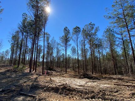 Recreational Property in Pike County, Alabama