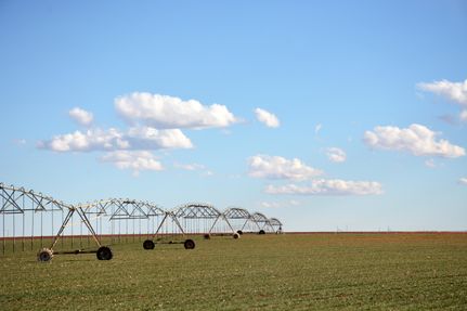 Farm and Ranch in Cochran County, Texas