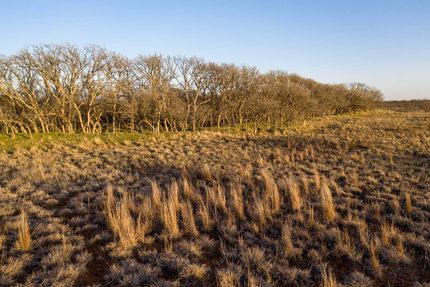Timberland Property in King County, Texas