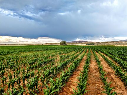 Recreational Property for sale in Big Horn County, Wyoming