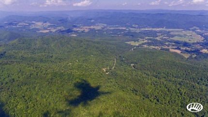 Timberland Property in Johnson County, Tennessee
