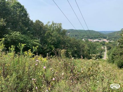 Hunting Property in DeKalb County, Alabama