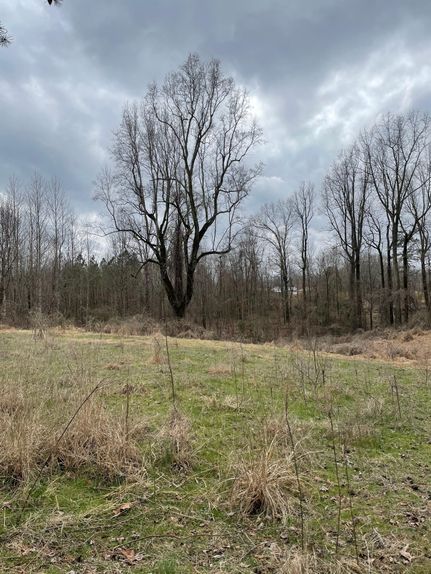 Farm and Ranch in Jackson County, Alabama