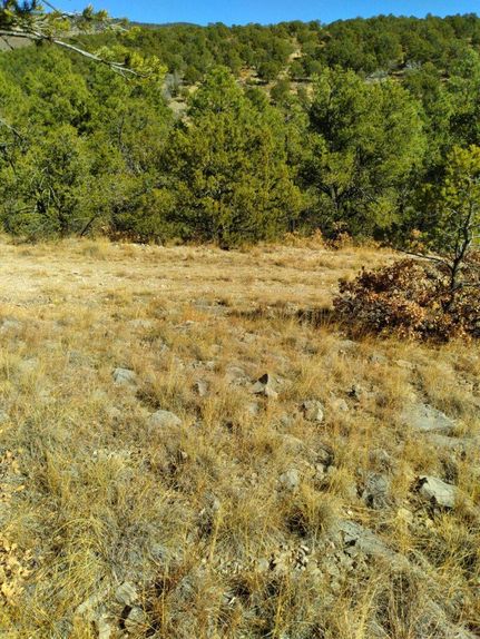 Hunting Property in Otero County, New Mexico