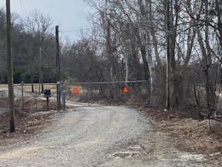 Timberland Property in Bolivar County, Mississippi