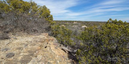Farm and Ranch in Taylor County, Texas