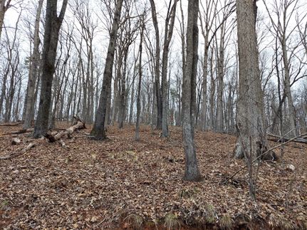 Recreational Property in Campbell County, Virginia