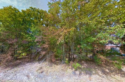 Undeveloped Land in Henderson County, Texas