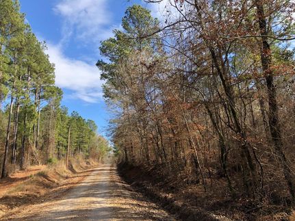 Timberland Property in Clark County, Arkansas