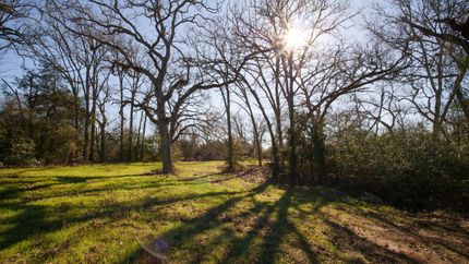Hunting Property in Burleson County, Texas