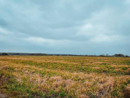 Farm and Ranch in Williamson County, Texas