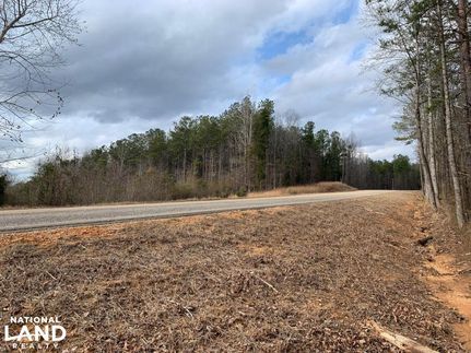 Timberland Property in Lee County, Alabama