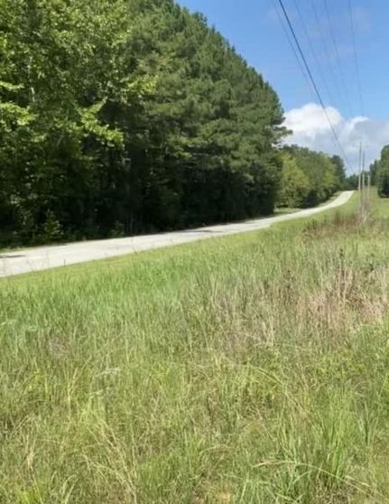 Timberland Property in Elbert County, Georgia