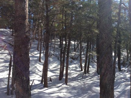 Recreational Property in Price County, Wisconsin