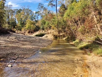 Recreational Property in East Feliciana Parish, Louisiana