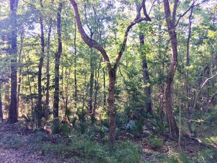 Land in Livingston Parish, Louisiana