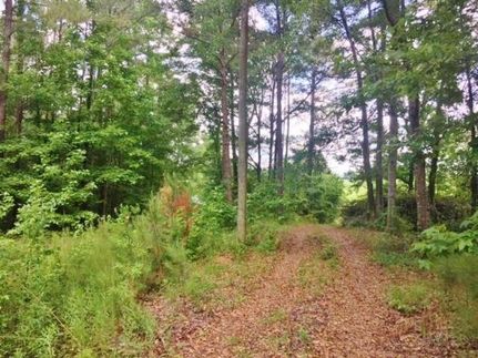 Commercial Property in Pike County, Mississippi