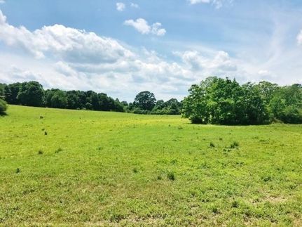 Hunting Property in Walthall County, Mississippi