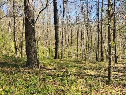 Timberland Property in Adams County, Mississippi