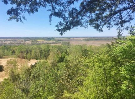 Timberland Property in Yazoo County, Mississippi