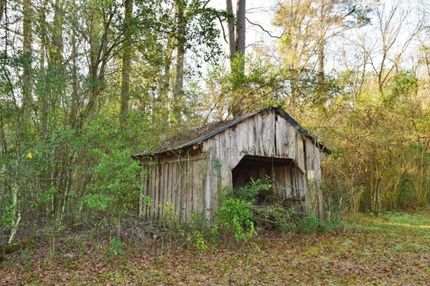 Undeveloped Land in Pike County, Mississippi