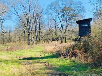 Timberland Property in Walthall County, Mississippi