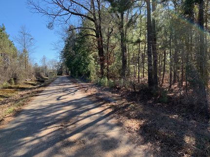 Undeveloped Land in Bossier Parish, Louisiana