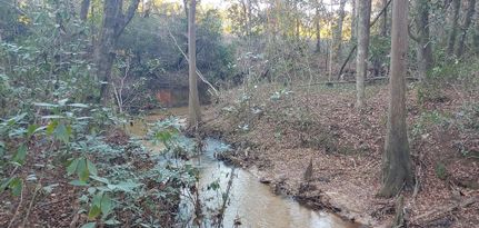 Farm and Ranch in Covington County, Alabama