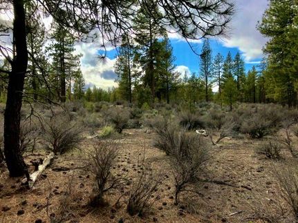 Undeveloped Land in Klamath County, Oregon