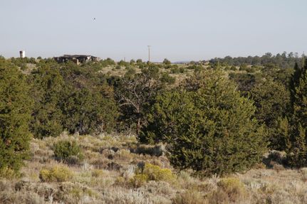 Timberland Property in Cibola County, New Mexico