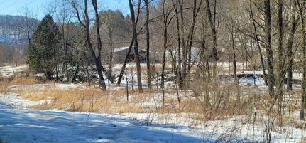 Undeveloped Land in Richland County, Wisconsin