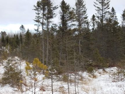 Commercial Property in Taylor County, Wisconsin