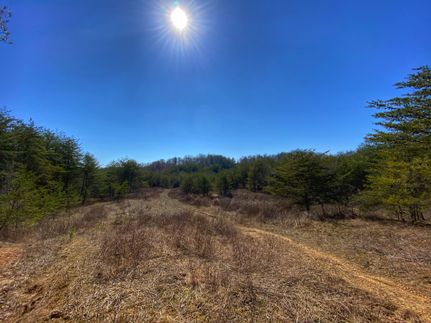 Timberland Property in Wolfe County, Kentucky