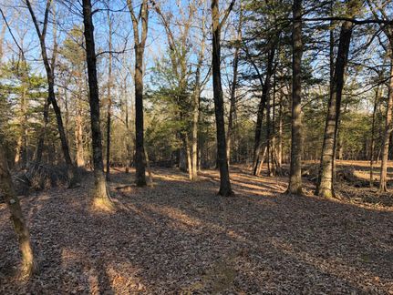 Farm and Ranch in Marion County, Arkansas